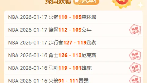 津城猛虎迎金洋洋加盟，有望接棒宋岳执掌教鞭