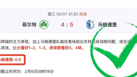 中国“磁吸效应”愈发明显，未来展望乐观。