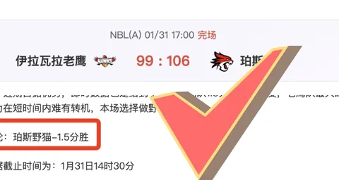 “行影寻踪：诗意运动在山水长卷，201场赛事体验感悟如何？”